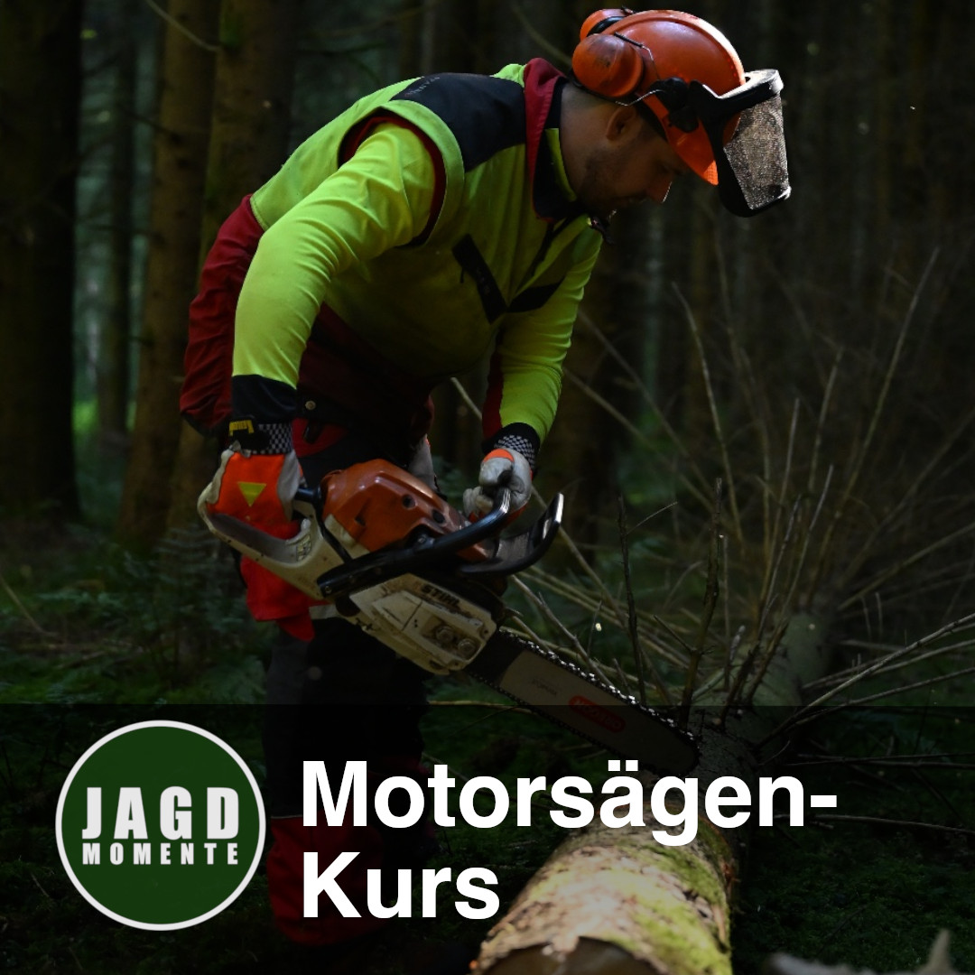 Motorsägenkurs